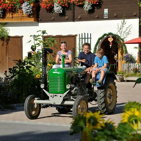 Romy Apartment Radstadt
