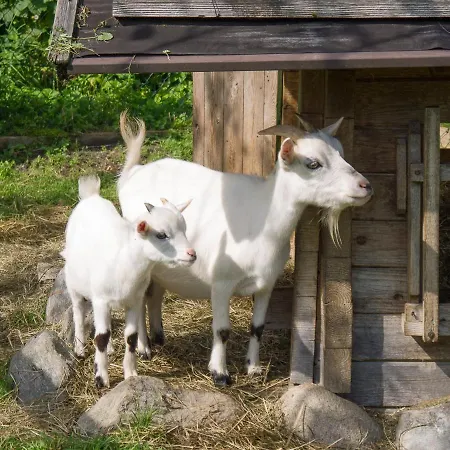 Ferienbauernhof Arnoldgut *