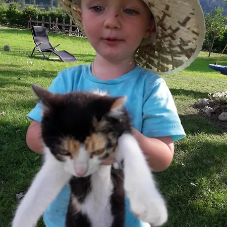 Apartamento Romy Radstadt