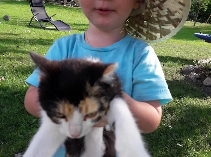 アパート Romy ラートシュタット